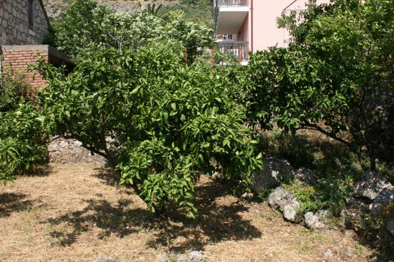 Apartments By The Sea Podaca, Makarska - 6874 エクステリア 写真